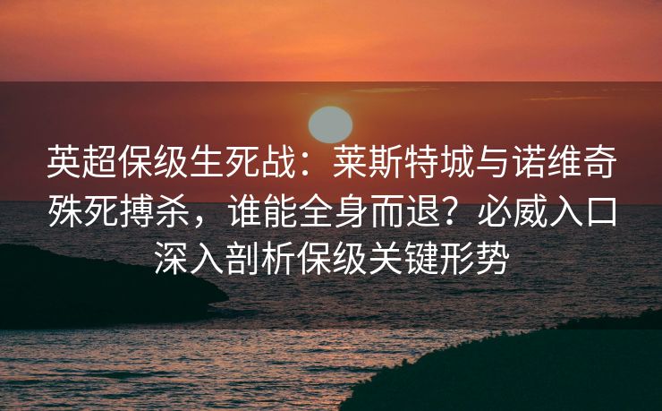 英超保级生死战：莱斯特城与诺维奇殊死搏杀，谁能全身而退？必威入口深入剖析保级关键形势  第2张