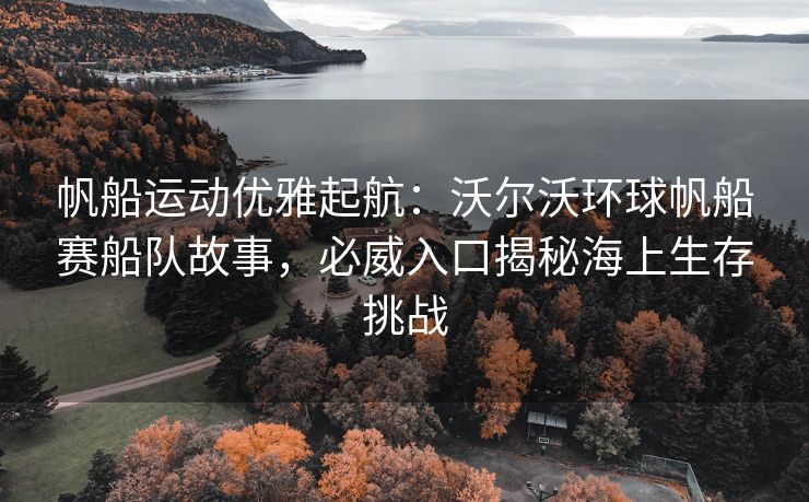 帆船运动优雅起航：沃尔沃环球帆船赛船队故事，必威入口揭秘海上生存挑战