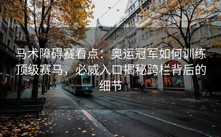 马术障碍赛看点：奥运冠军如何训练顶级赛马，必威入口揭秘跨栏背后的细节  第1张
