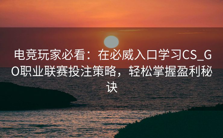 电竞玩家必看：在必威入口学习CS_GO职业联赛投注策略，轻松掌握盈利秘诀  第2张