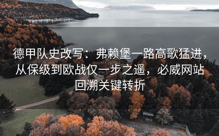 德甲队史改写：弗赖堡一路高歌猛进，从保级到欧战仅一步之遥，必威网站回溯关键转折  第2张
